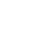 Icon_-_Shield_White